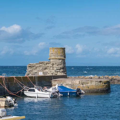 Castelo de Culzean, Burns Country e costa de Ayrshire: excursão desde Glasgow - Photo 8