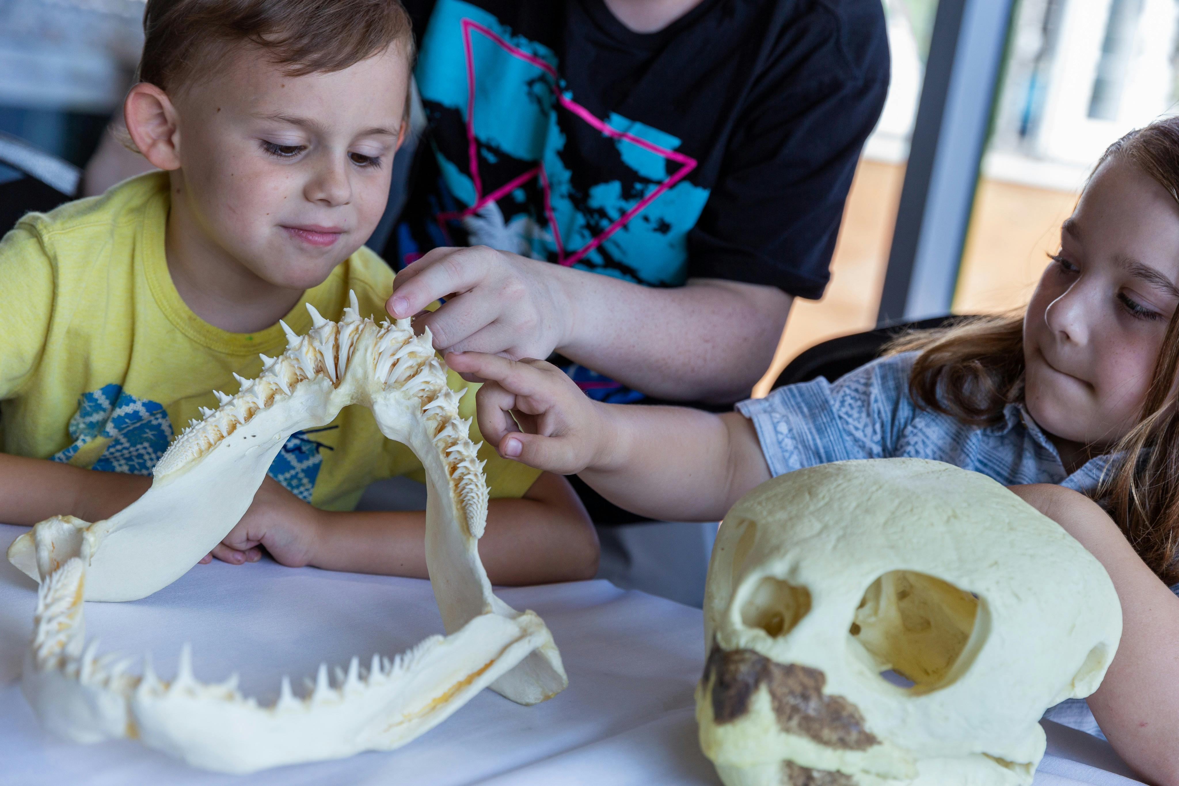 默特尔海滩瑞普利水族馆