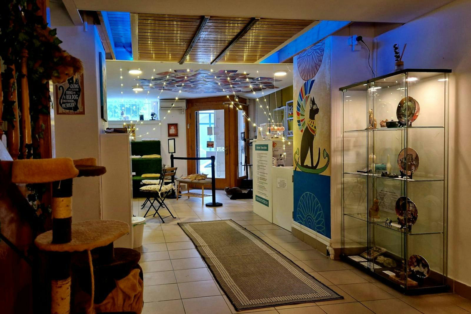 Budapest Cat Museum