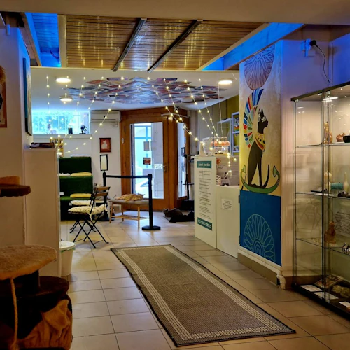 Museu do Gato de Budapeste: bilhete de entrada + audioguia - Photo 8