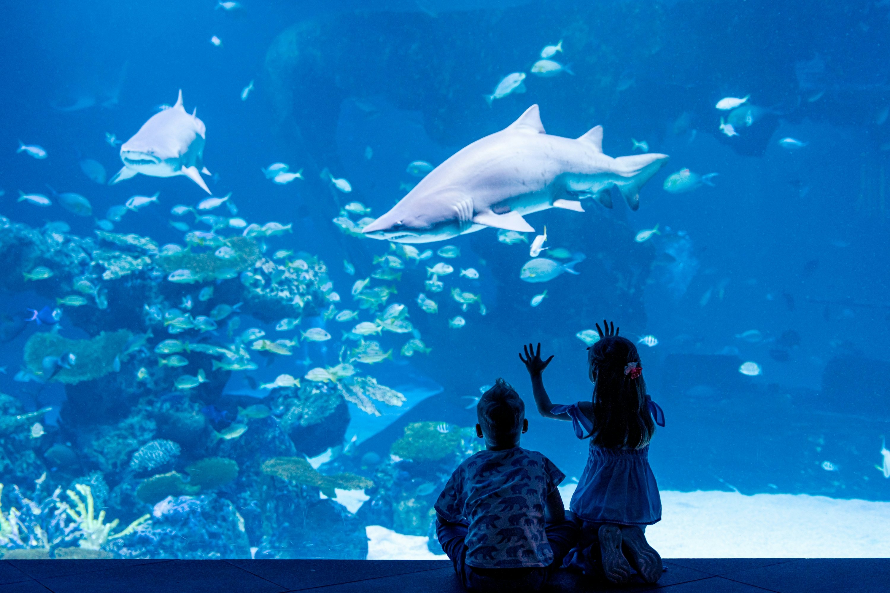 Aquaria Phuket: Entry Ticket