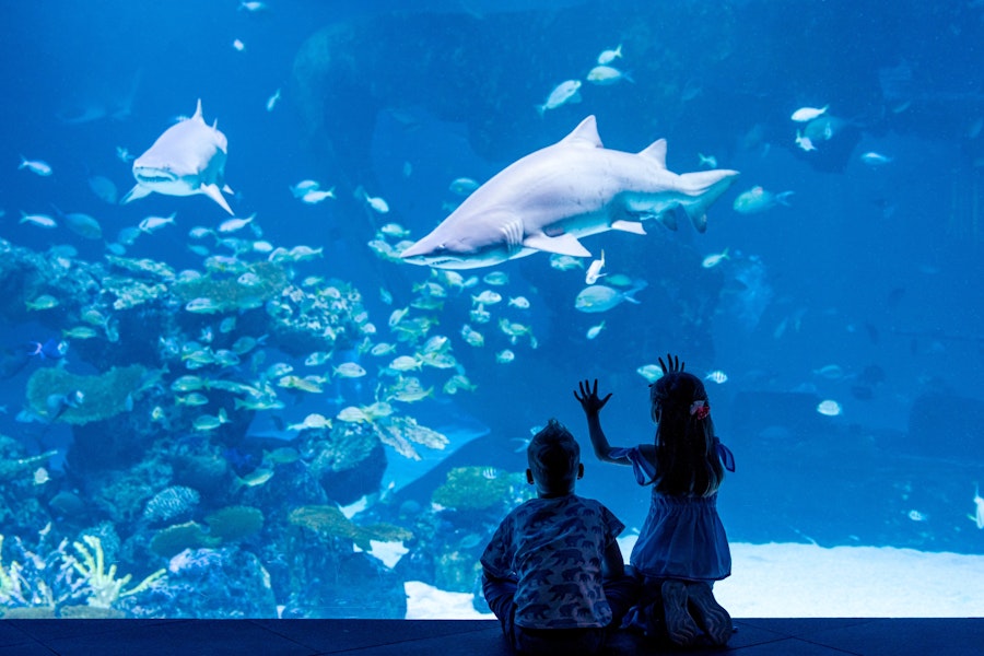 Phuket Aquaria Tickets