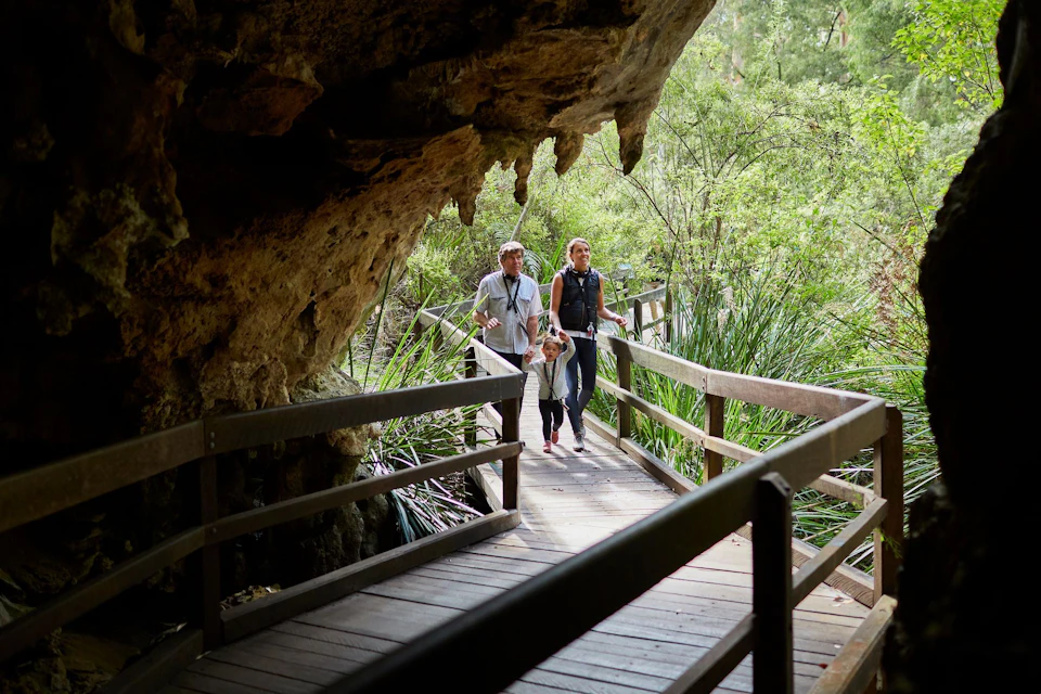 Enter Mammoth Cave along a gently sloping boardwalk
