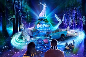 Harry Potter: Uma Experiência na Floresta Proibida
