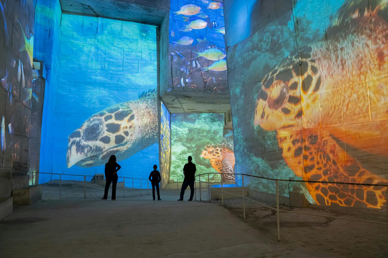 Carrières des Lumières: Ocean Exposición