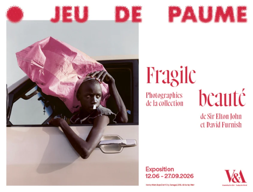 Fragile beauté