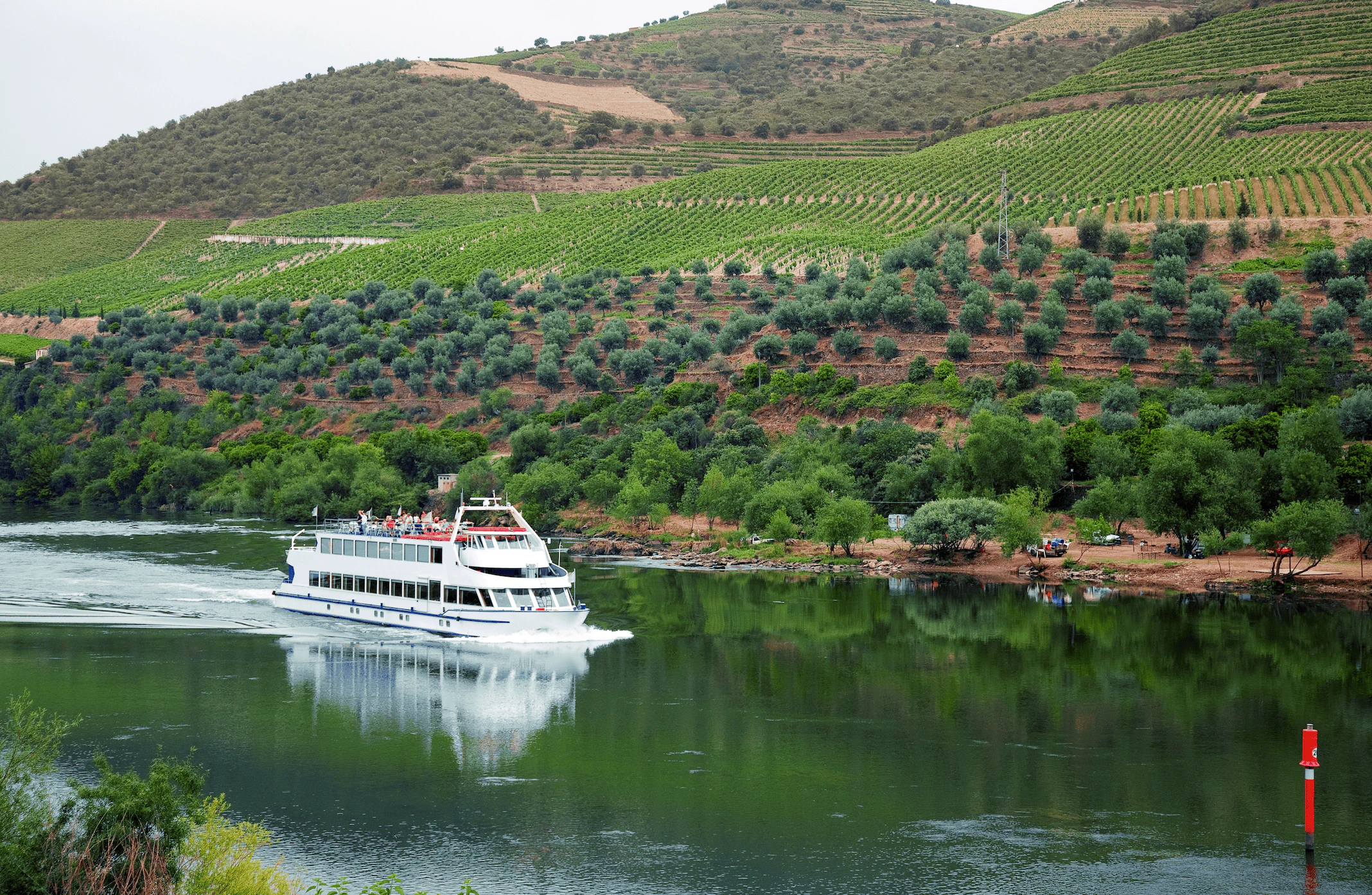 Douro Valley: River Cruise + Breakfast & Lunch from Porto