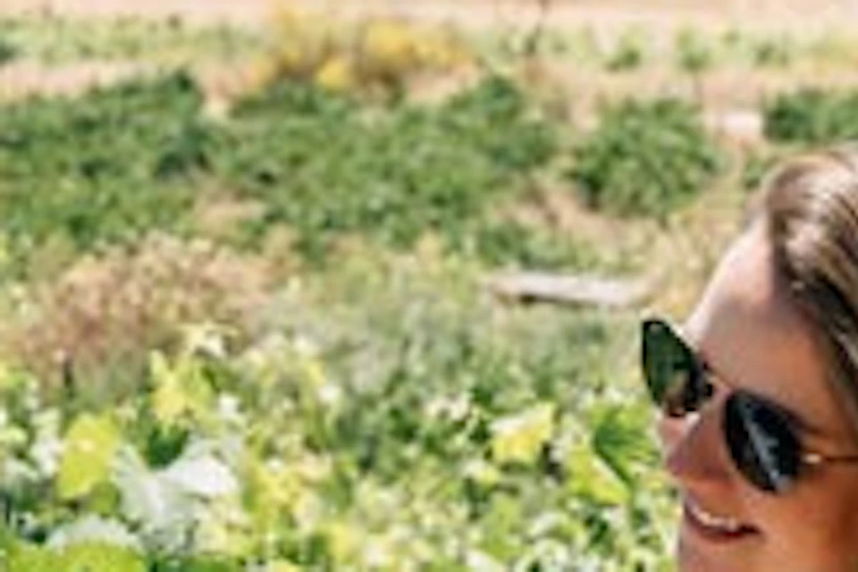 Visit in the vineyards