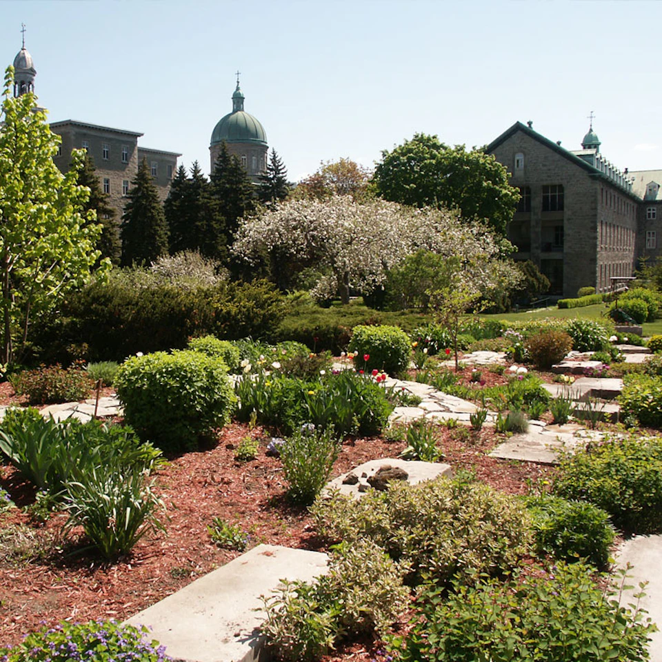 A garden with stone pathways and various greenery, with historic domed buildings in the background under a clear sky.
