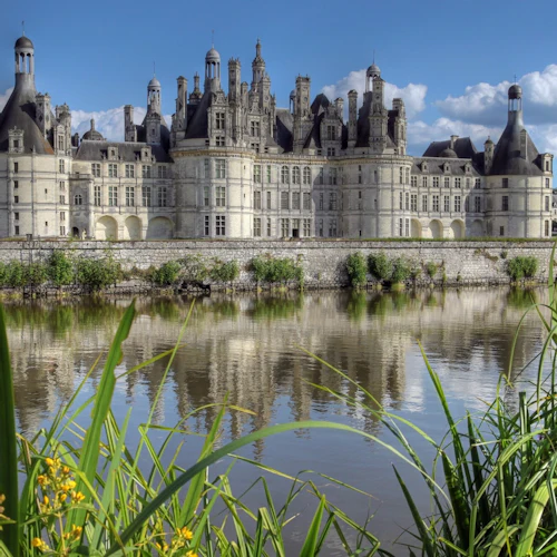 Loire Valley: Castle Entry + Wine Tasting - Photo 15