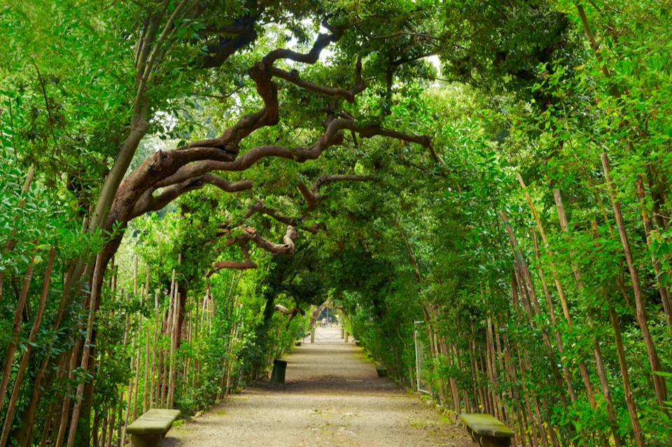 Boboli Gardens Guided Tour