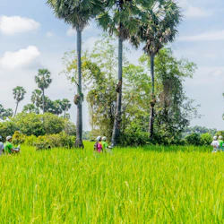 Siem Reap Countryside Vespa Adventure 2