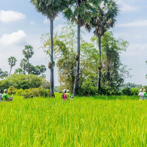 Siem Reap Countryside Vespa Adventure - Photo 2