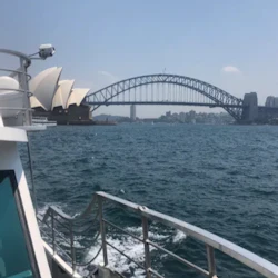 Sydney: Morning/Afternoon Sightseeing Cruise in destination