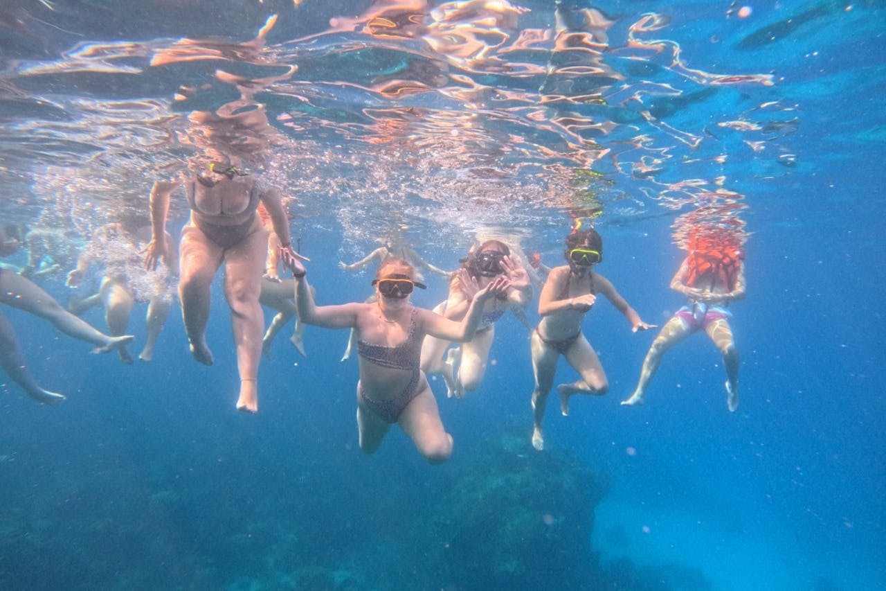 在旅途中探索充满活力的珊瑚礁和海洋生物。