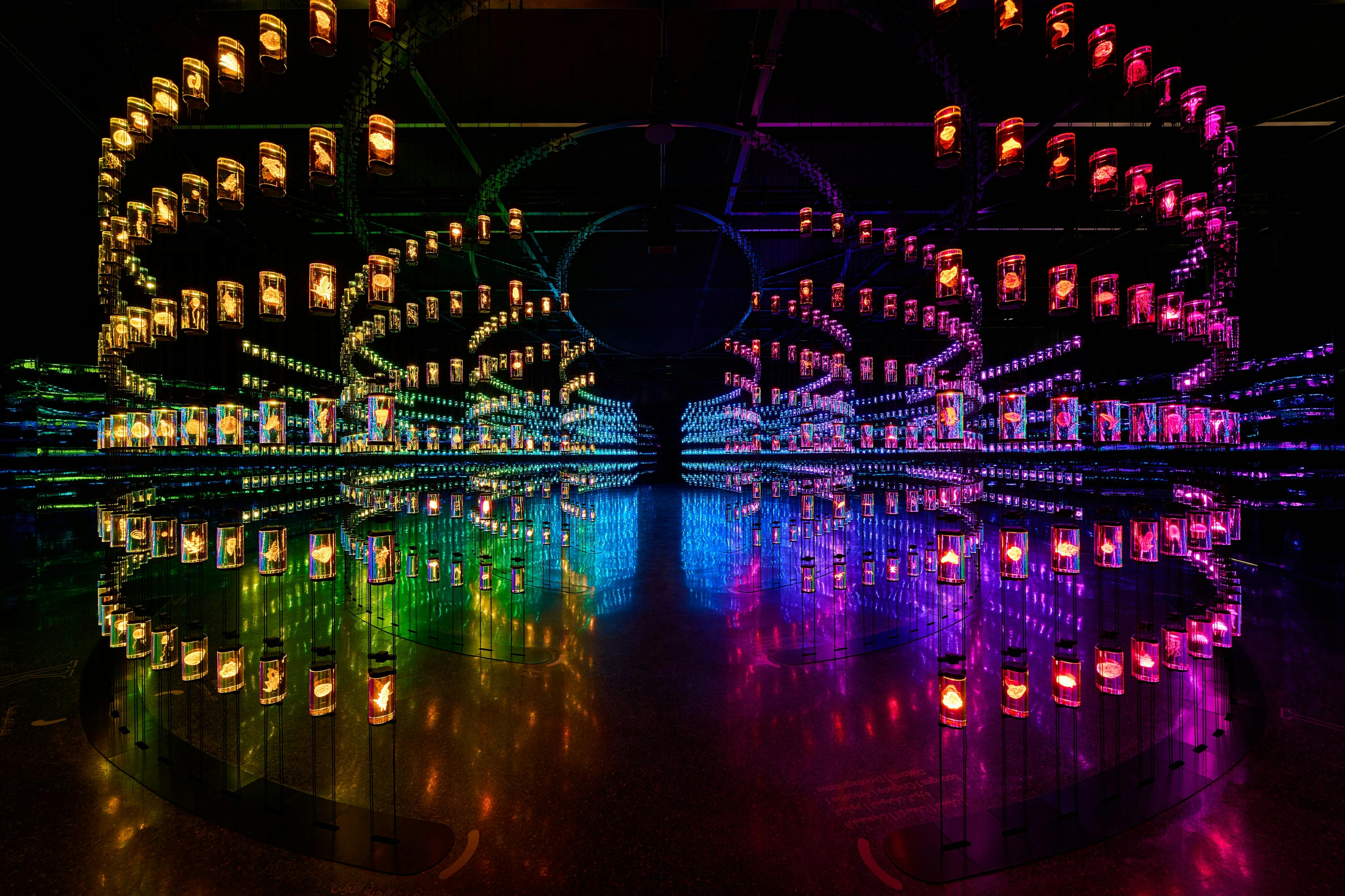 Museum of The Future