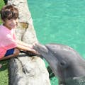 Miami Seaquarium Möt en delfin