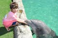 Miami Seaquarium's Treffen mit einem Delfin