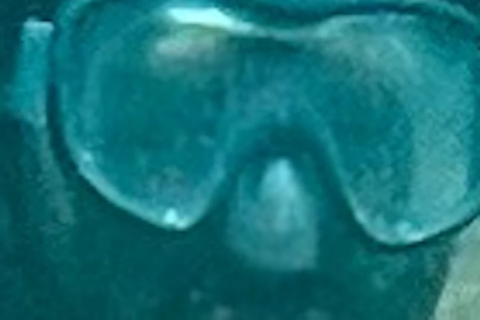 Two snorkelers swimming underwater, surrounded by fish in clear blue-green water.