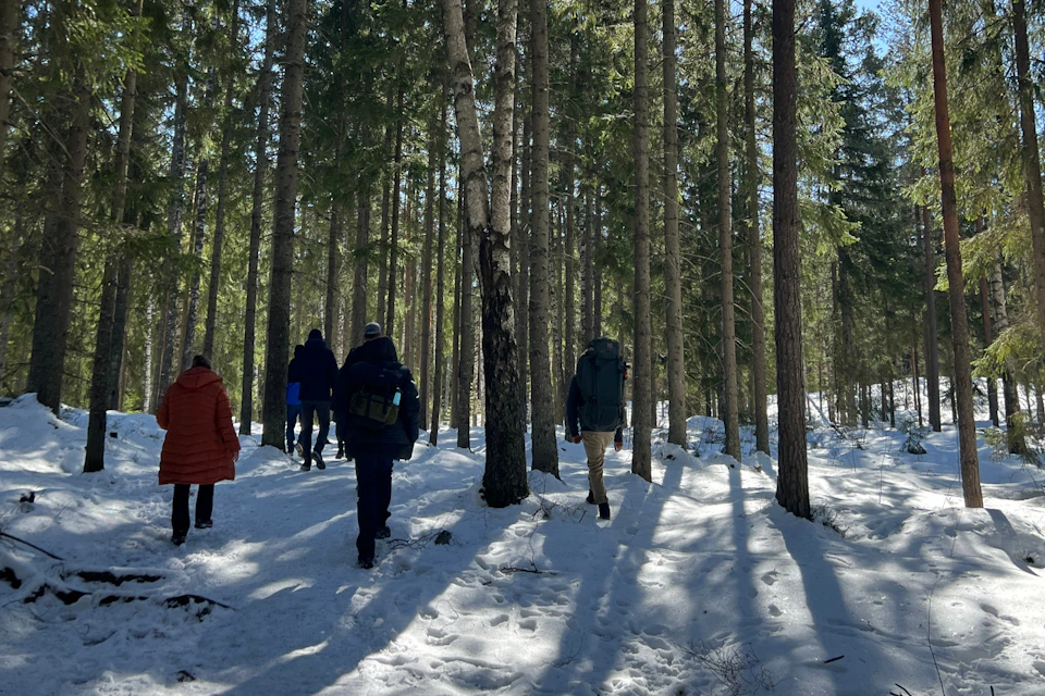 Snow and sun in the spring