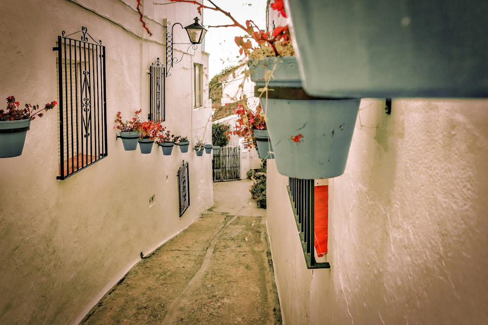 Whitewashed street in Mijas Pueblo decorated with colorful flower pots