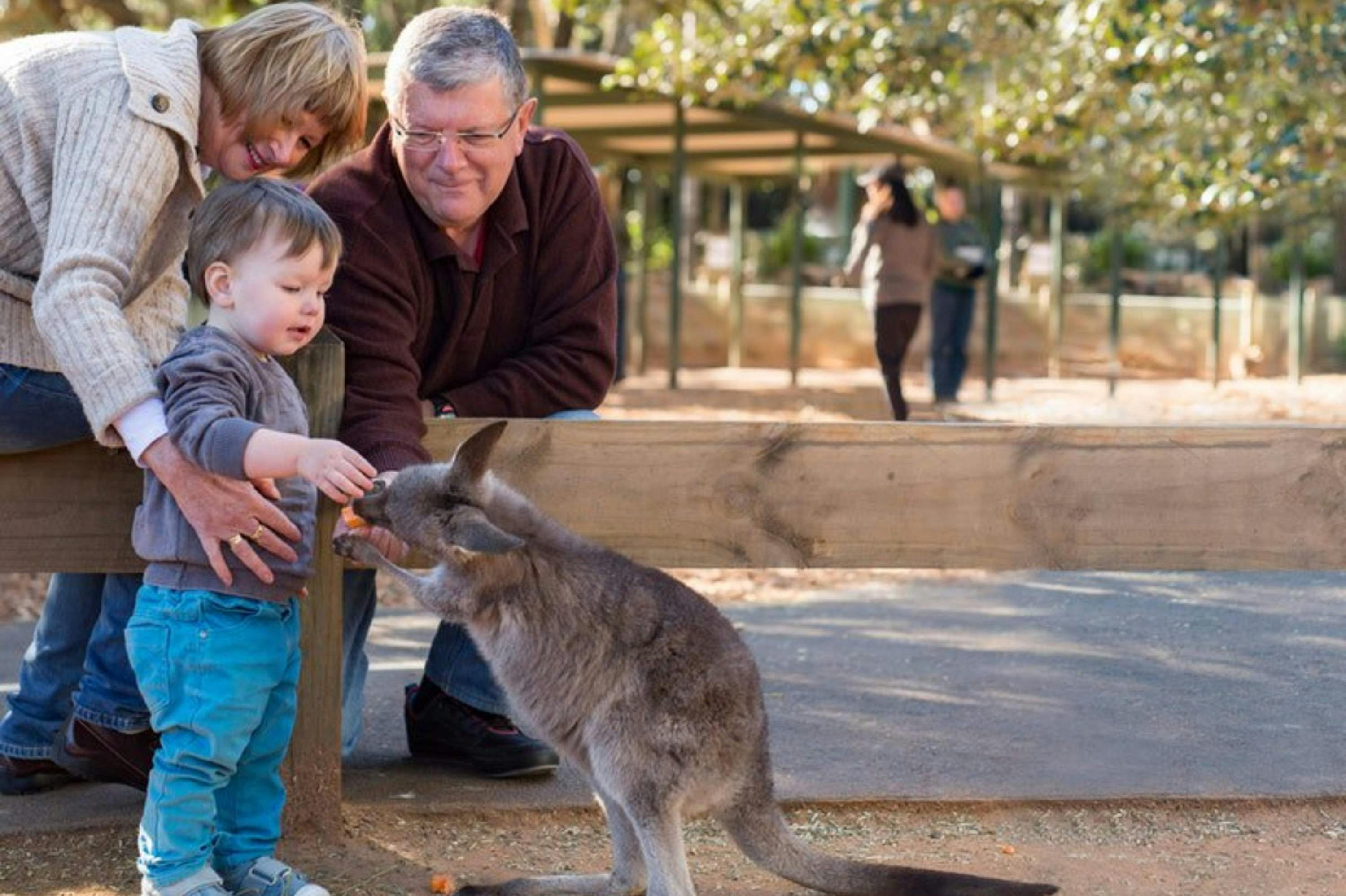 Featherdale Sydney Wildlife Park: Entry Ticket in Doonside – Tiqets