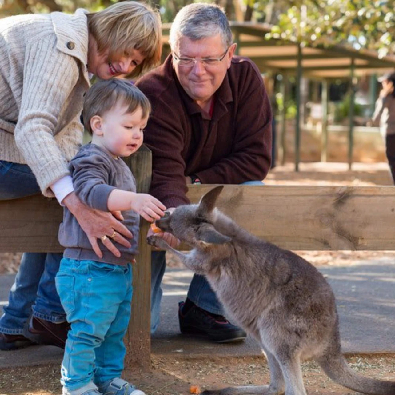 Featherdale Sydney Wildlife Park: Entry Ticket in Doonside β Tiqets