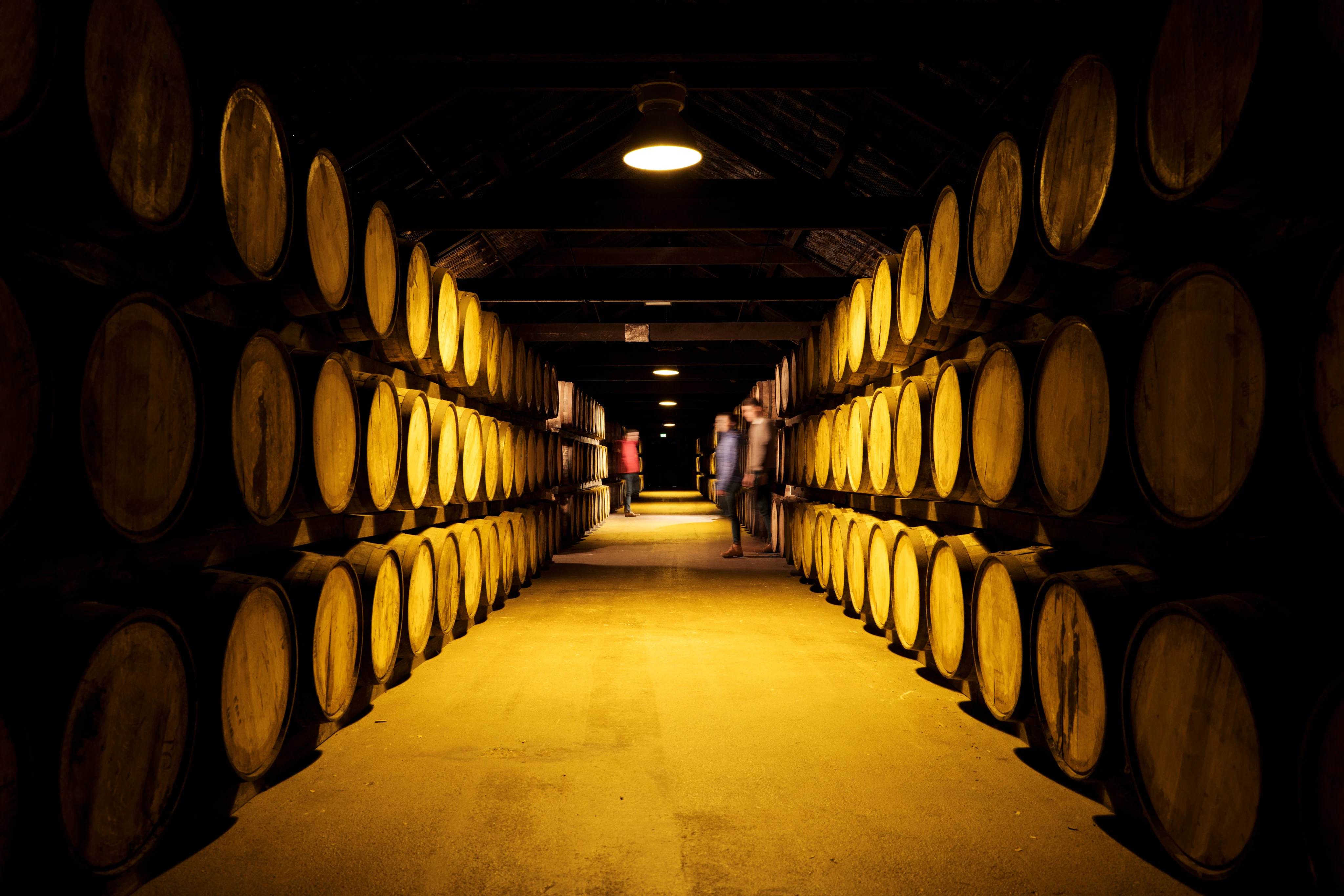 Midleton Distillery (Jameson): Behind-the-Scenes Guided Tour
