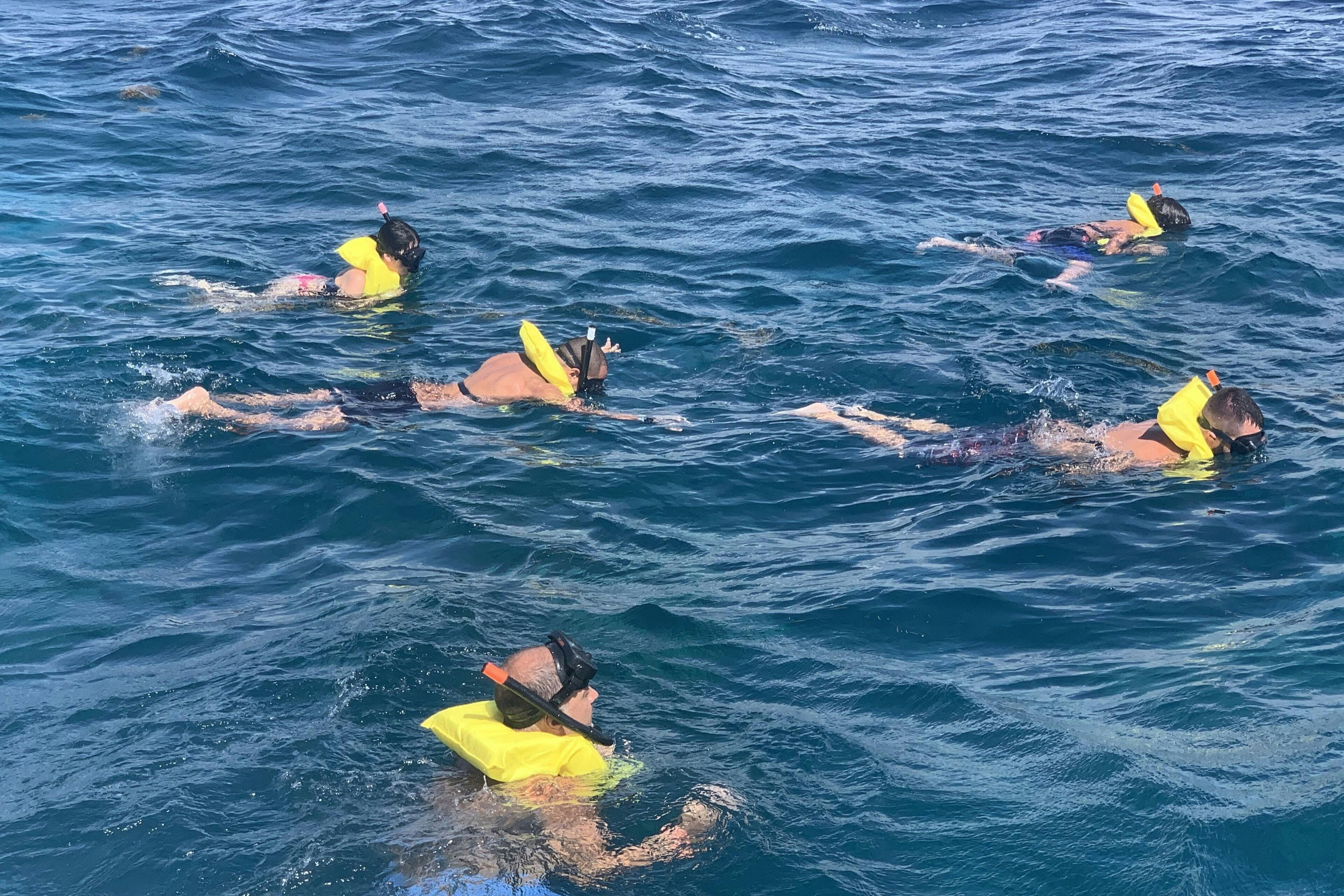 Catalina Island Trips & Excursions