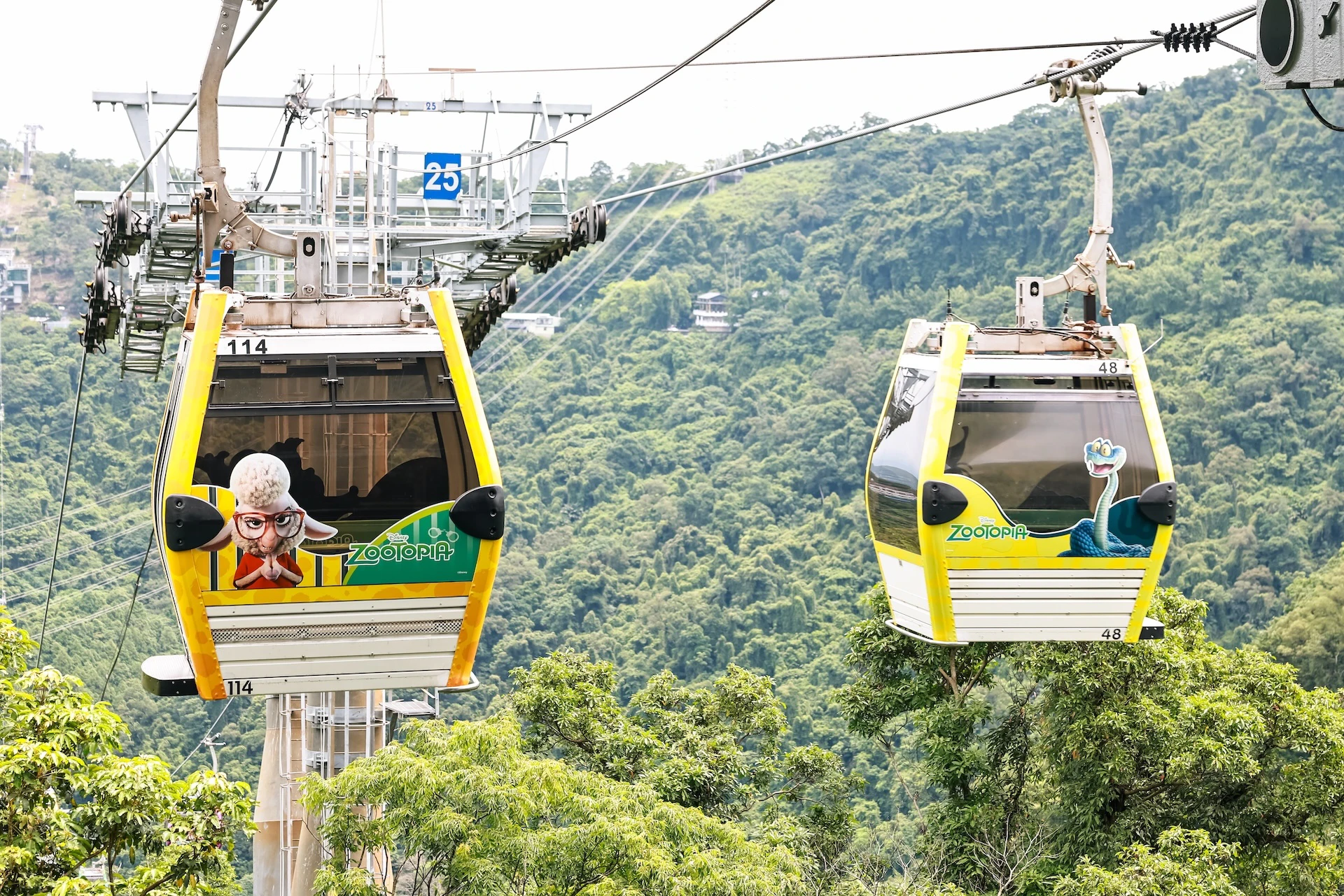 Two cable cars with cartoon-themed decorations travel over a lush green forested area.