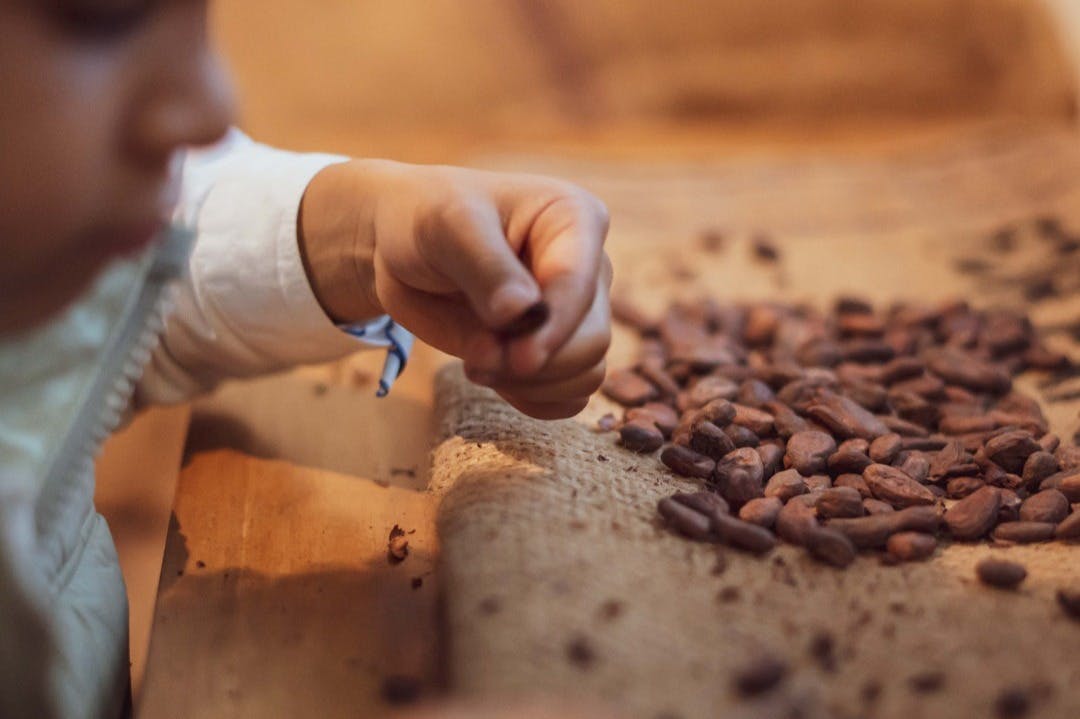 20までのチョコレート体験| 20