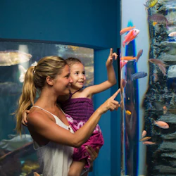 Interactive Aquarium Cancún: Entry Ticket 2