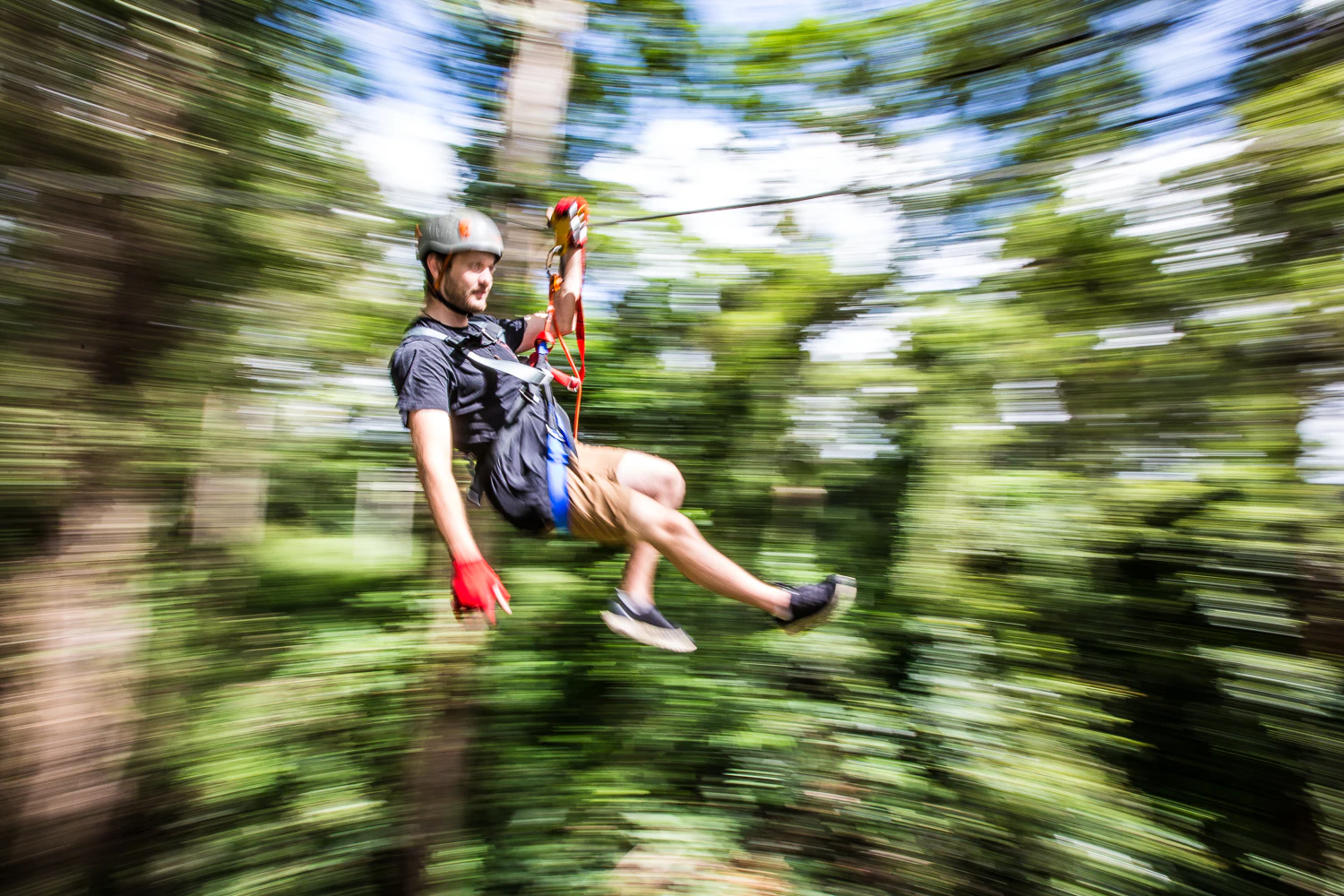TreeTop Challenge at The Big Pineapple in Sunshine Coast
