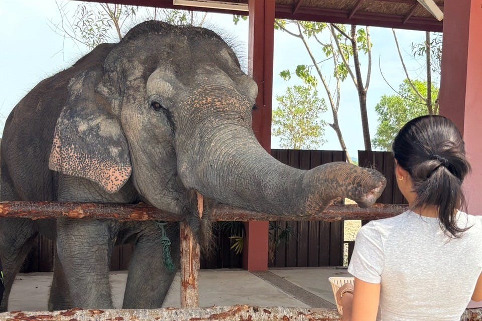 Udendørsaktiviteter