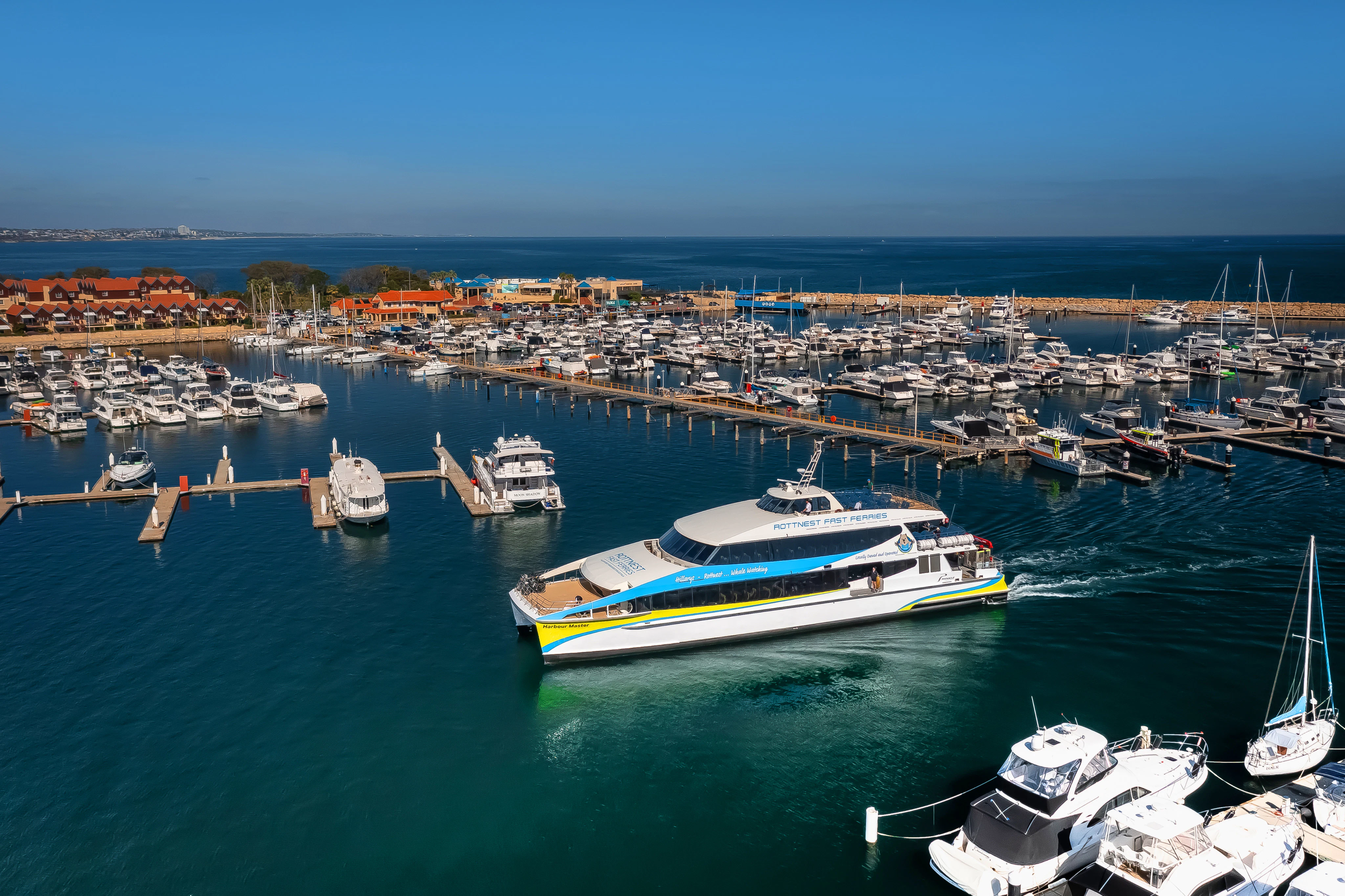 Rottnest Island: Roundtrip Ferry Transfer + Bike Rental