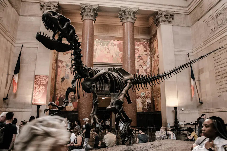 Museo de Historia Natural de Nueva York (AMNH)