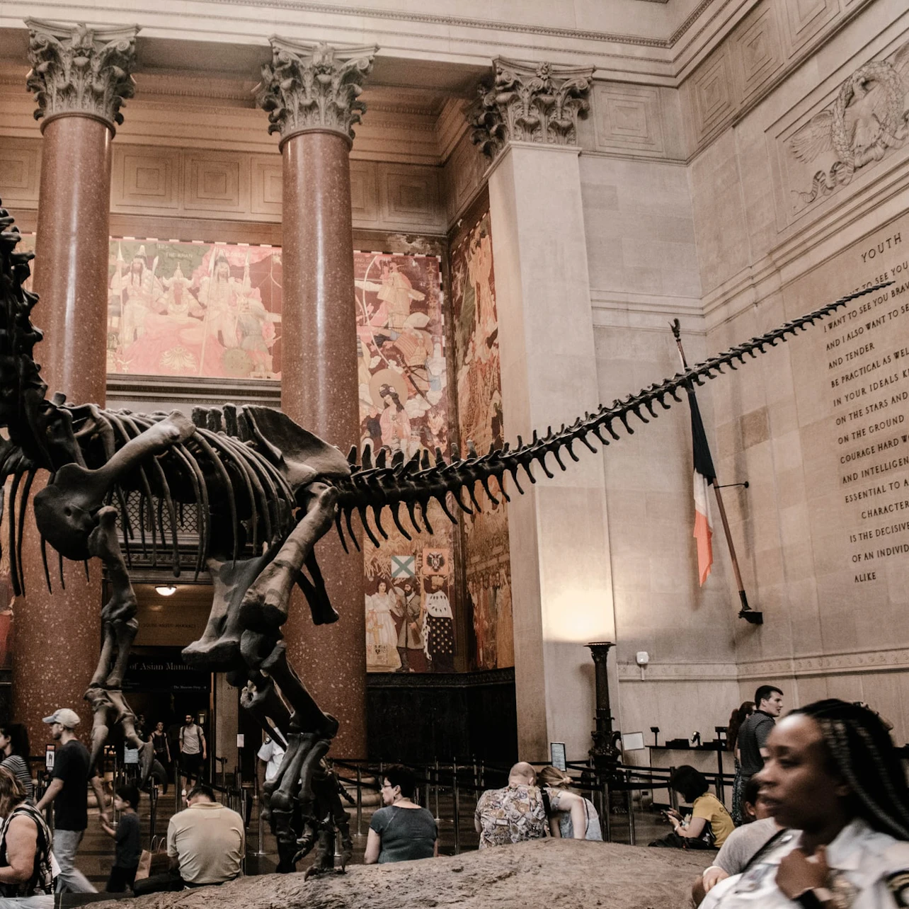 American Museum of Natural History AMNH: Entry Ticket in New York – Tiqets