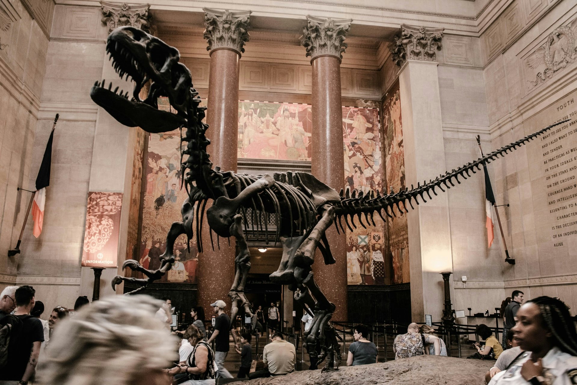 Museu Americano de História Natural (AMNH): Bilhete de entrada