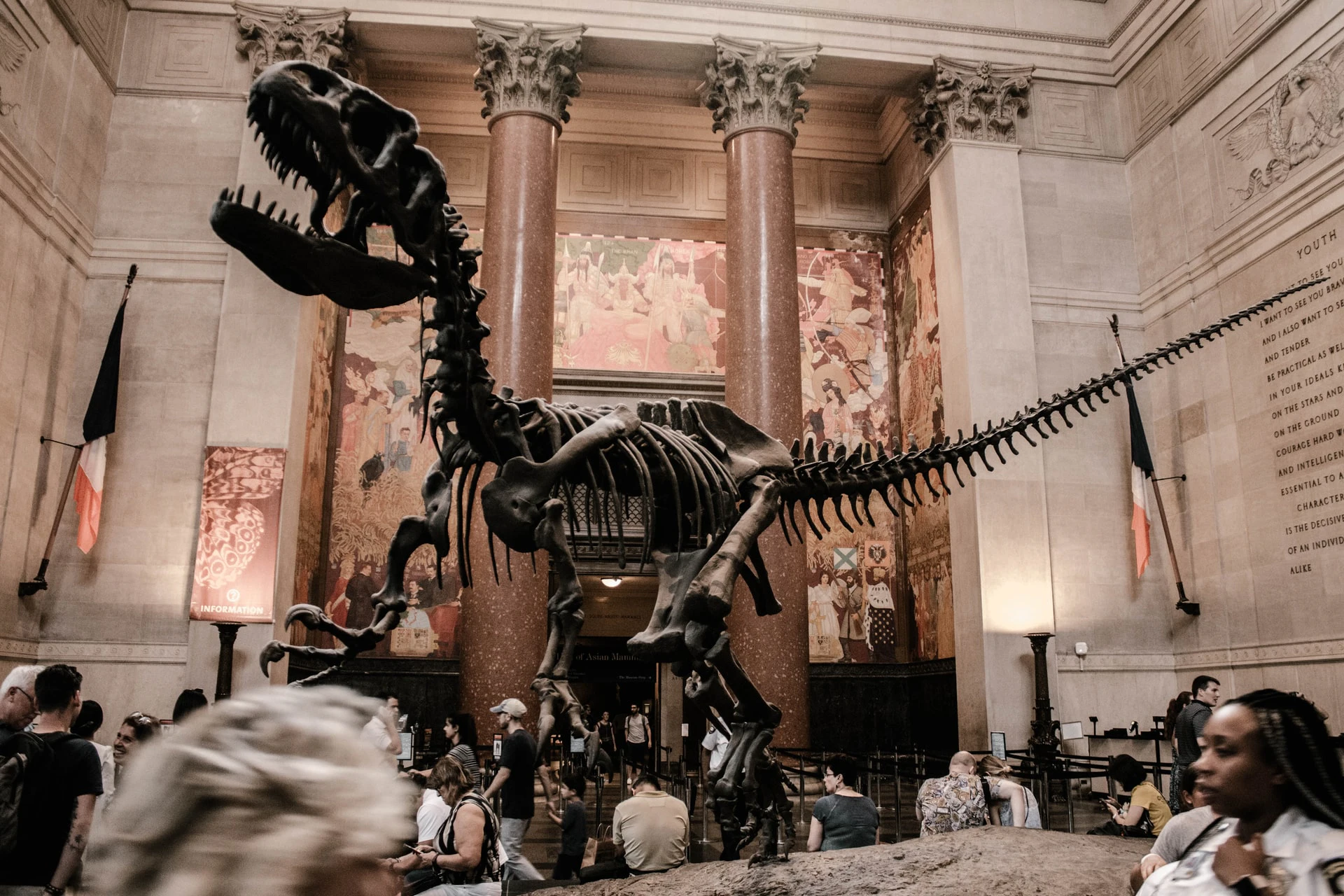 American Museum of Natural History (AMNH): Entry Ticket