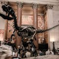 Uno scheletro di dinosauro all'ingresso del Museo Americano di Storia Naturale.