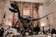 En dinosaurie skelett inne i American Museum of Natural History ingång.