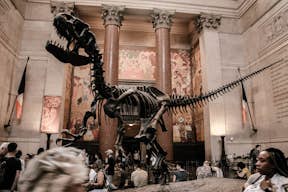 美国自然历史博物馆入口处的恐龙骨架化石。