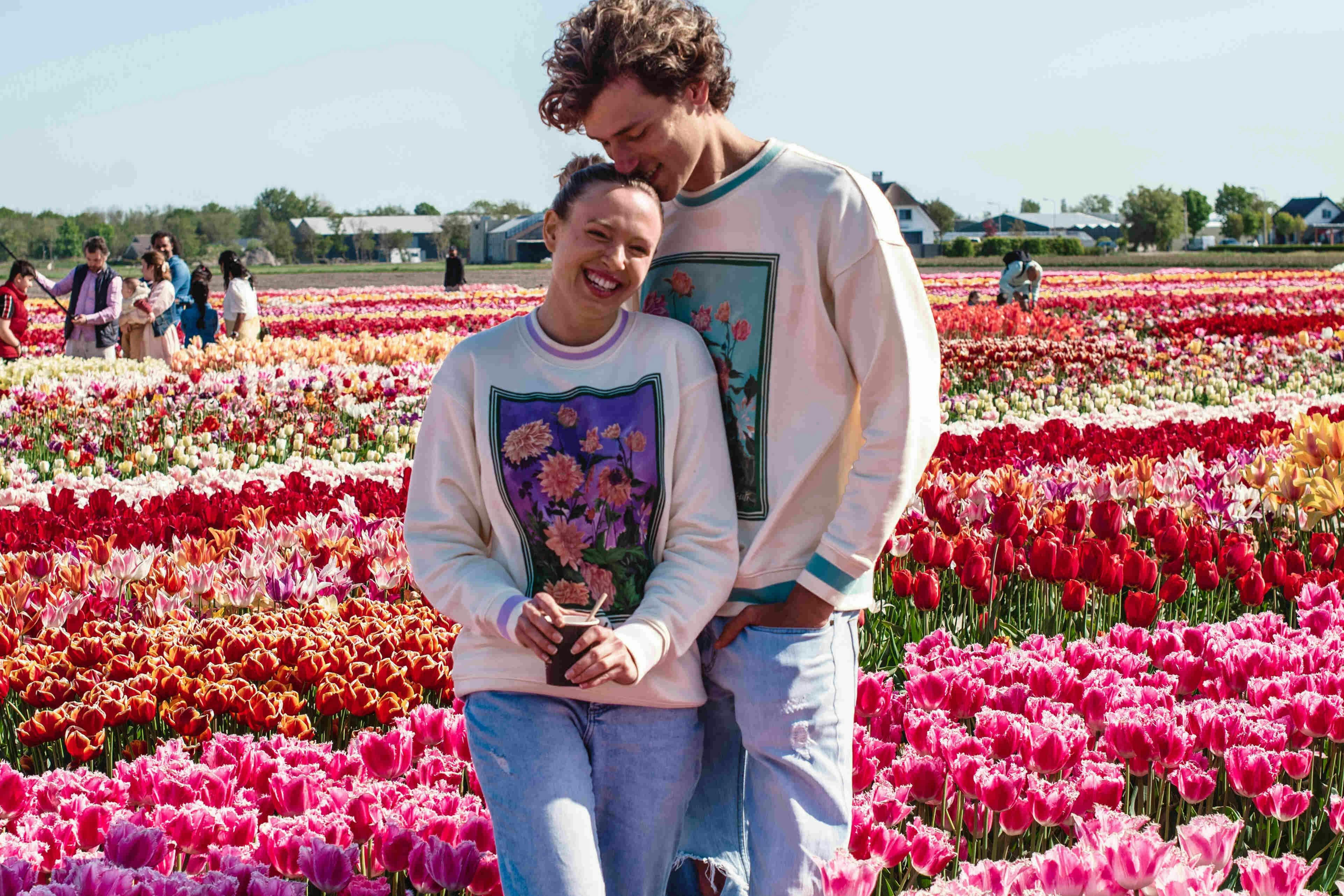 Tulip Experience Amsterdam