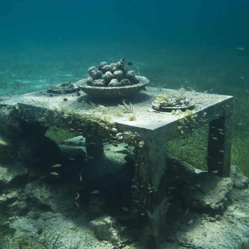 ガラス底ボートによるmusa水中博物館 Tiqets ガラス底ボートによるmusa水中博物館 Tiqets