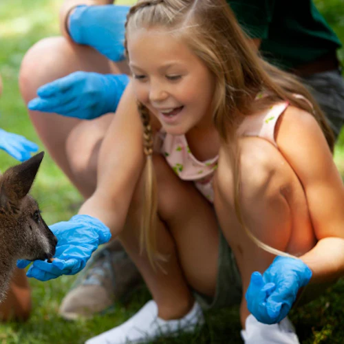 Kangaroo and Wallaby Encounter - Photo 3