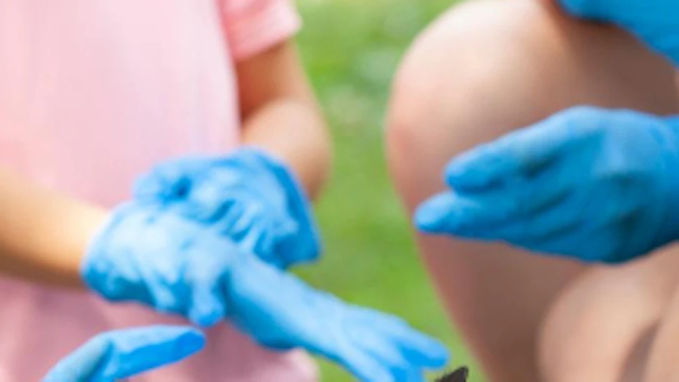 A smiling girl with braided hair feeds a small kangaroo while wearing blue gloves, surrounded by other people also wearing gloves.