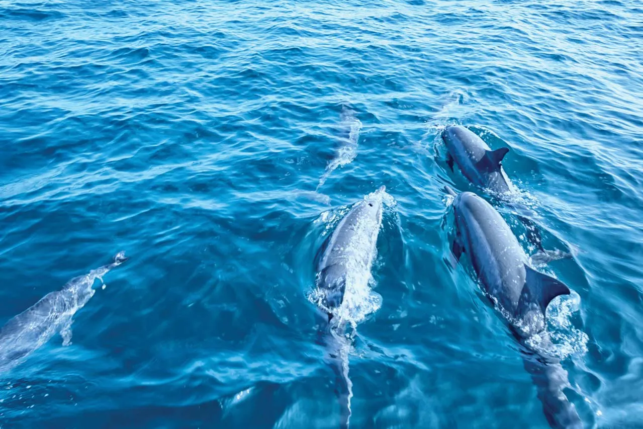Outdoor & Sport Activities in Mallorca