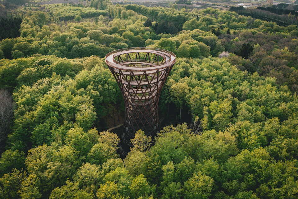 A tall spiral observation tower surrounded by dense green forest, viewed from above.