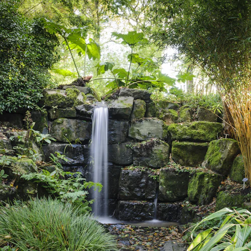RHS Garden Rosemoor