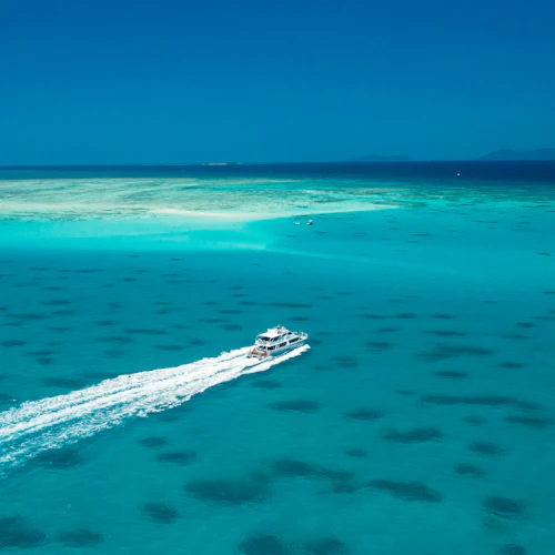 Grande Barreira de Coral: Passeio de barco guiado a partir de Cairns + Snorkelling + Almoço - Photo 8